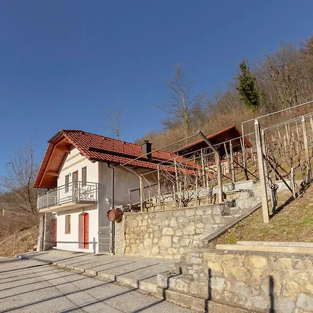 Zidanica Med Trtami Apartmán *