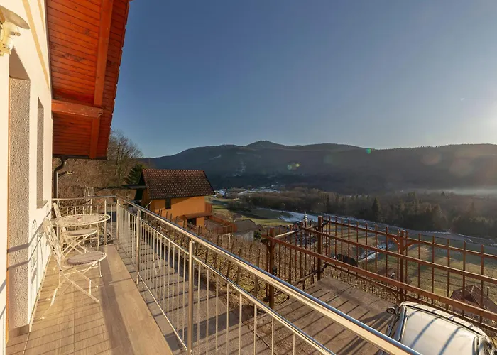 Zidanica Med Trtami Apartment *