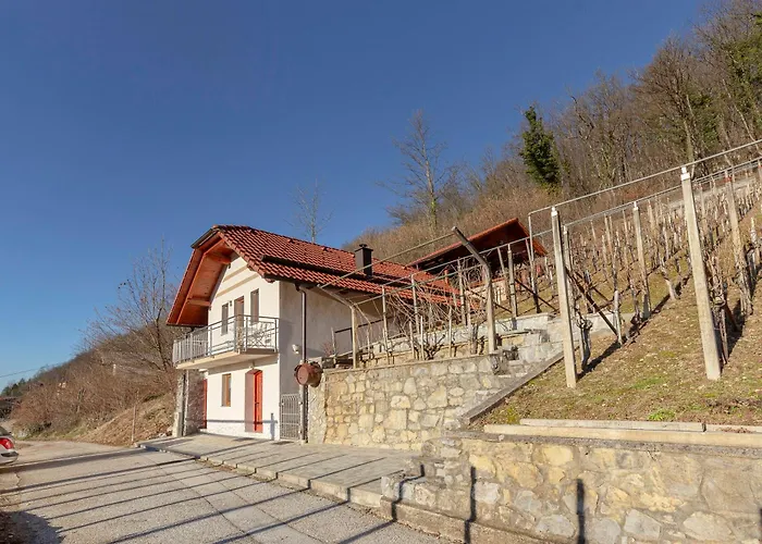 Zidanica Med Trtami Appartement *