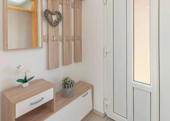 Zidanica Med Trtami *