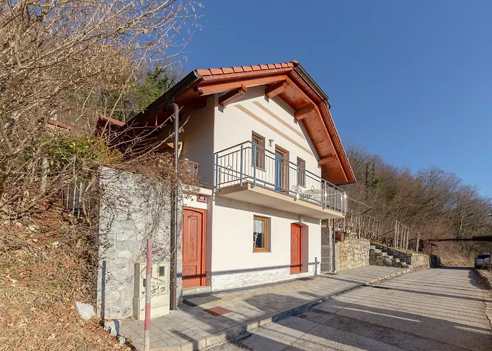 Zidanica Med Trtami Dvor