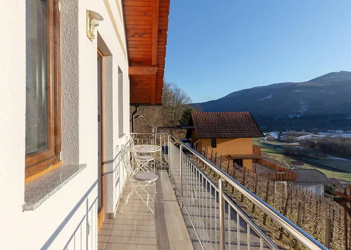 Zidanica Med Trtami Appartement Dvor