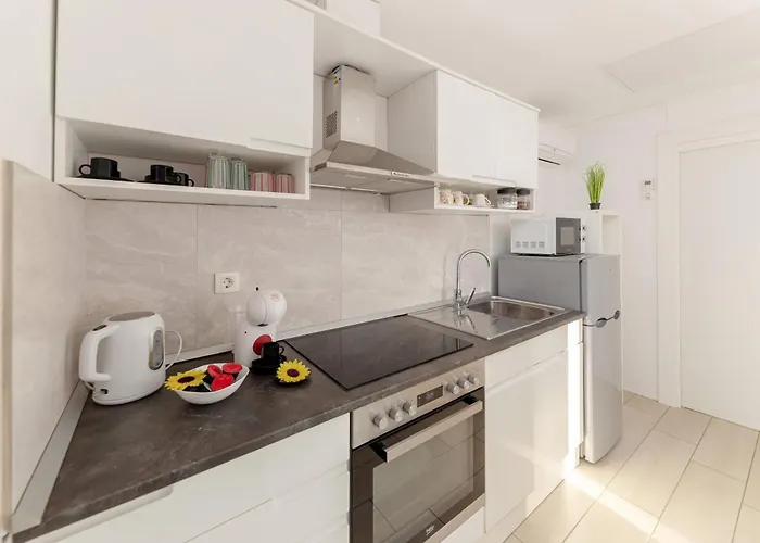 Zidanica Med Trtami Apartment Dvor